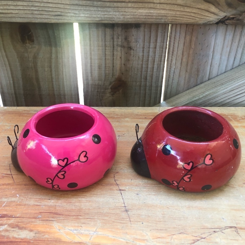 Set of 2 Rocket Farms Lovebugs Ladybugs Mini Planters Pink & Red with Hearts